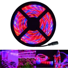 Красный синий 5:1 светильник для выращивания цветов 12V светодиодный водонепроницаемый светильник 5m