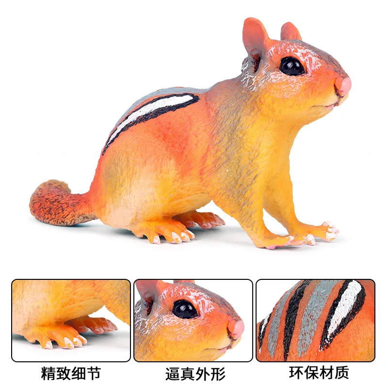 Детская модель Solid Animal World, модель игрушки, Chipmunk маркировка, декорация в виде белки, гаражный набор