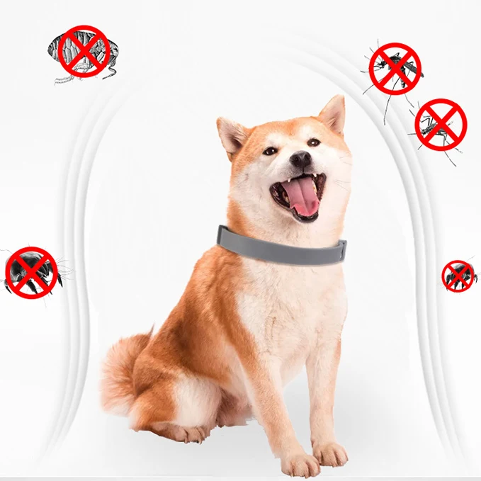 

New Adjustable Pet Collars for Small Dogs Cat Pest Control Dog Deworming Collar Anti-Insect Guard Flea Tick Collar Pets Supplies