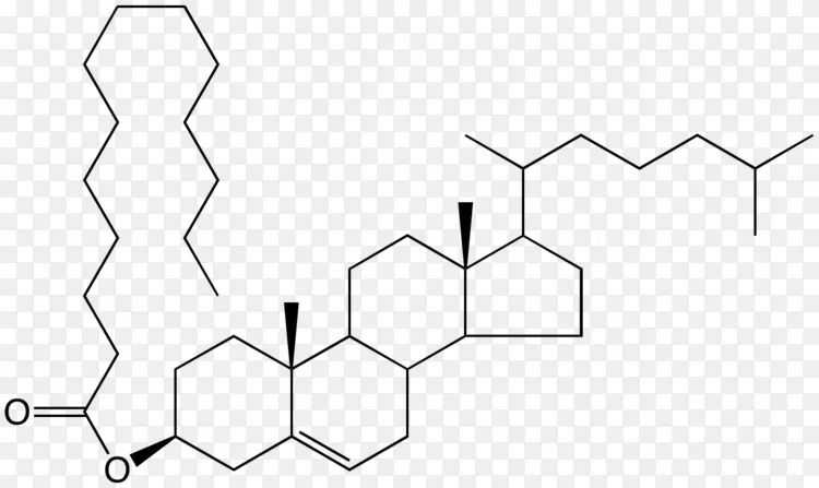 硫酸脱氢表雄酮硫酸肾上腺皮质类固醇激素