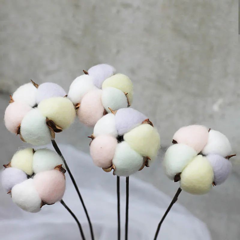 10863690206_1403346045