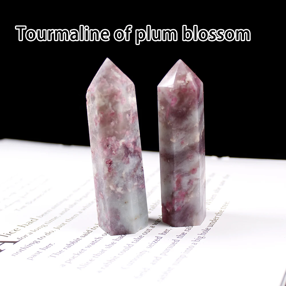 Plum blossom