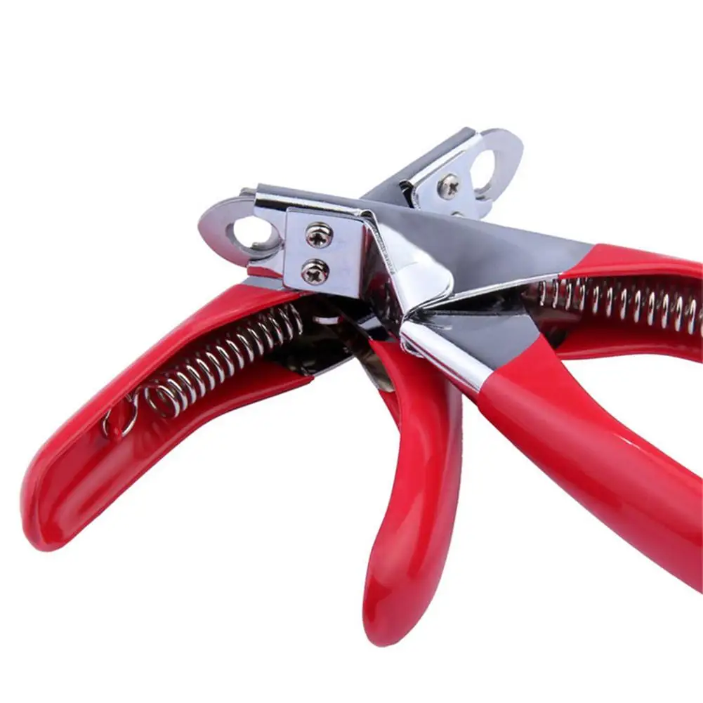 Pet Dog Cat Birds Nail Clippers File Kit Top Quality Pet Animal Nail Clipper Claw Scissors Shears Trimmer Cutter Grooming Tool