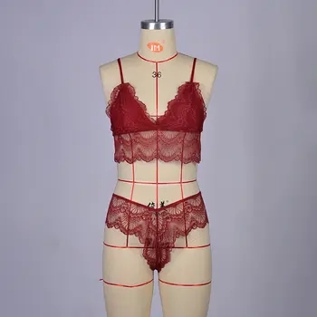 

New Lace Sexy Bra Set Push Up Seamless Lingerie Set Women Transparent Bra and Low Waist Brief Sexy Crop Top Soft Underwear Set