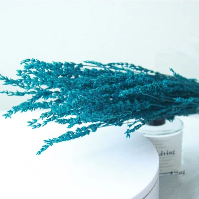 4 Lavender Dried Flowers Eternal Flower Home Decoration Flower Arrangement DIY Craft Party Decoration - Цвет: 4