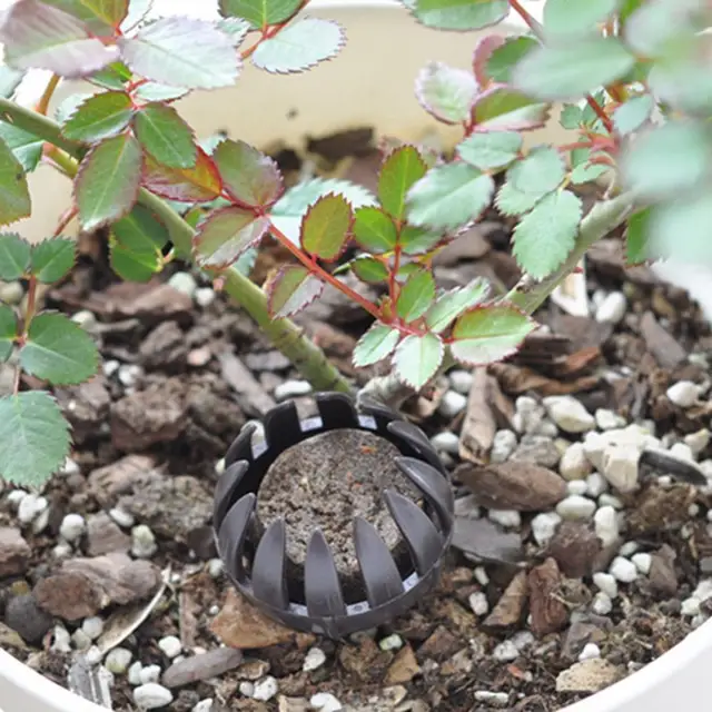 10Db Műanyag Automatikus Műtrágya Doboz Kerti Óvoda Kosár Bonsai Ültetési Szerszám - Image 3