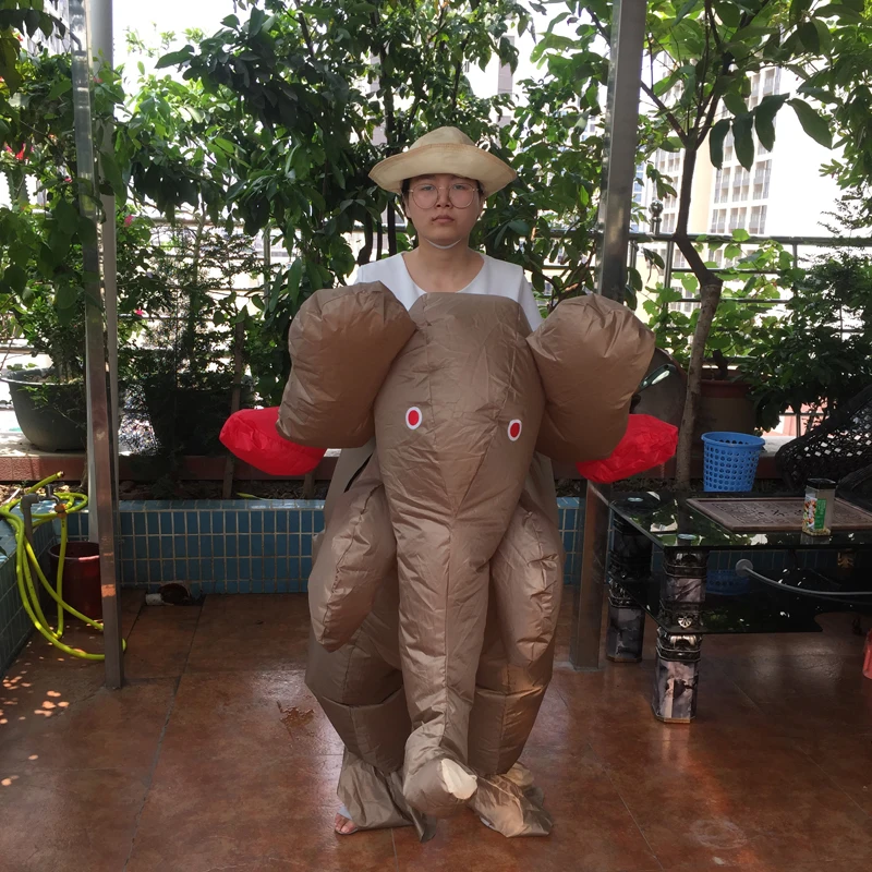 30 (1)
