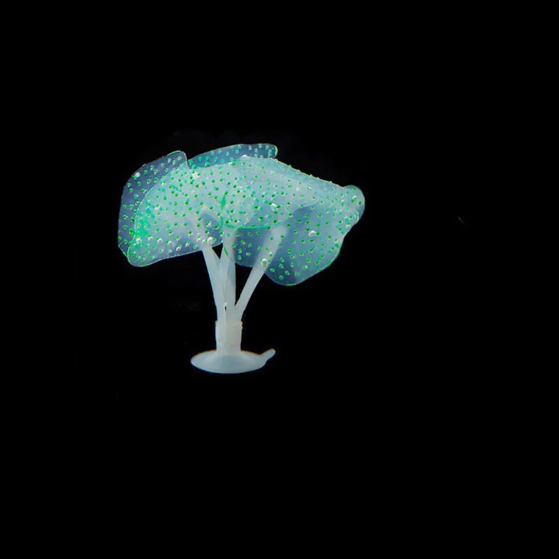 IY0017G