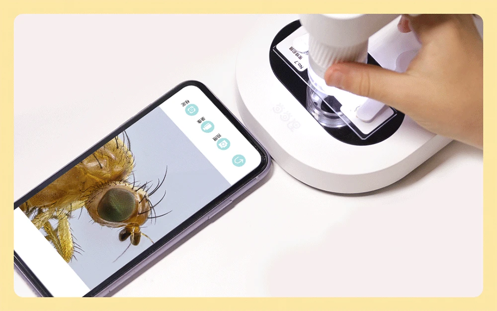 Children Biological 400X WIFI Digital Electronic Portable Microscope Home School Science Educational Toy Gift For Phone PC Ipad