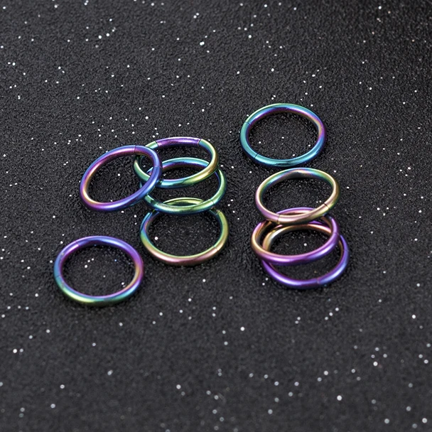 

Classic Hinged Seamless Segment Ring Surgical Steel Nose Hoop Punk Earring Labret Septum piercing oreja Ring plugs and tunnels
