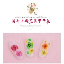 36 шт Маникюрный маленький круглый палитра 12 цветов пять лепестков маленький сушеный цветок маленькие круглые тарелки в коробке стерео Ногтей Сушеный Цветок Acce