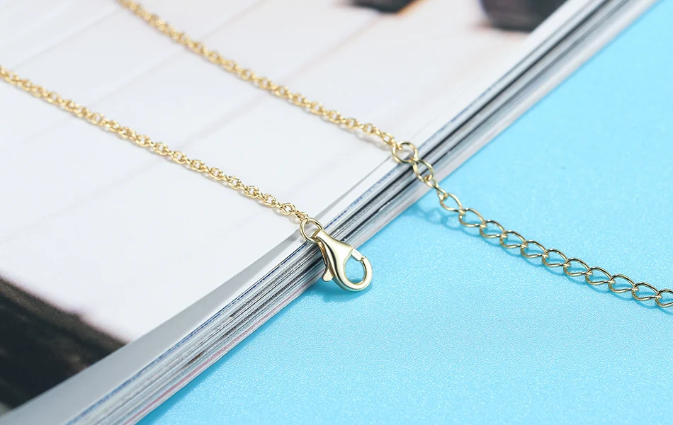 SA06-SCENE-IMG_3895-R