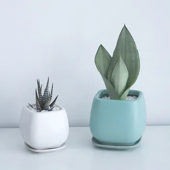 

Mini Colourful Round Ceramics Plant Flower Pot Garden Home Office Decor Planter Desktop Flower Pots Home Office Decoration