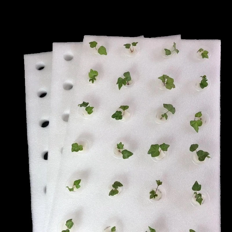 1pc Hydroponic Foam Board 600*400*30mm Greenhouse Soilless Cultivation Equipment Hydroponic Vegetable Floating Plate with Holes hydroponic gardening kit hydroponic planting tools