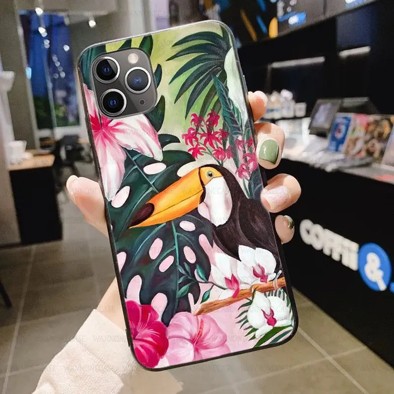 Tropical forest animals Toucan