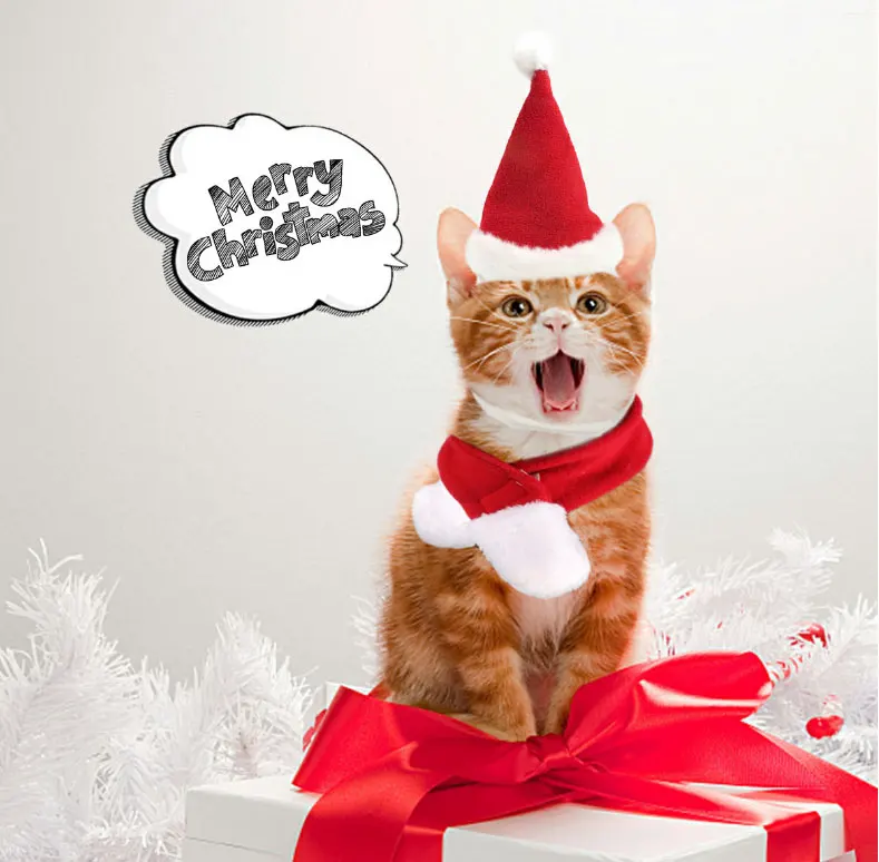 Рождественская шапка шарф собака кошка набор Персонализированные фланелевые полиэфирные товары для домашних животных собака День