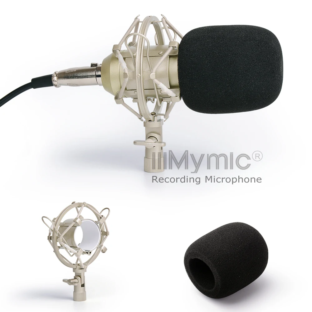 i ONE Condenser Microphone !! 34mm Gold Diaphragms Capsule