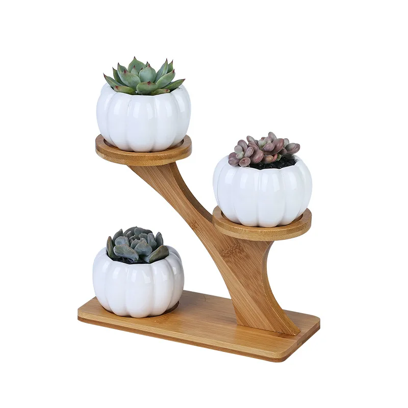 Ceramic Garden Pots Modern Decorative Nursery Succulent Plant Pot 3 Bonsai Planters with 3-Tier Bamboo Shelf Free Ship | Дом и сад