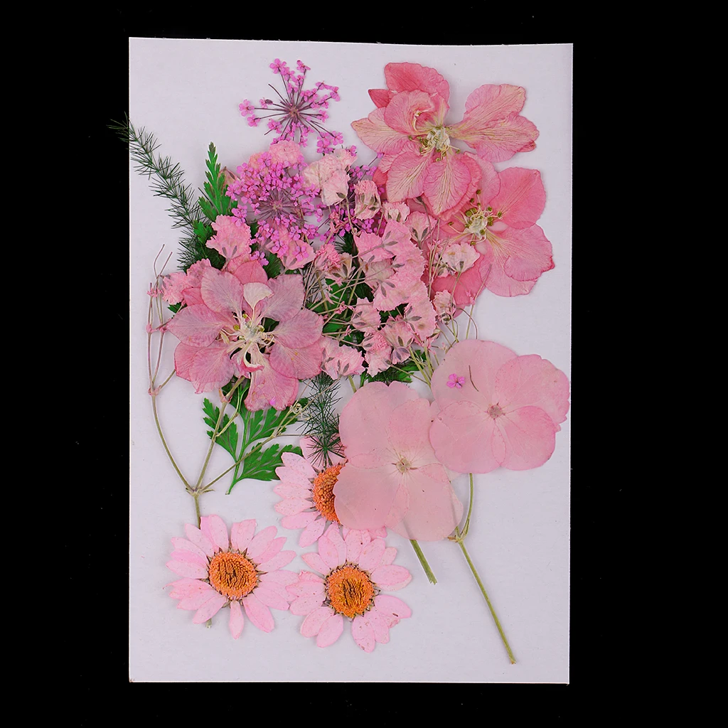 Lots Mixed Real Pressed Flower Dried Flowers  for Resin Jewellery Scrapbooking Phone Case Making Crafts DIY Dry Plants