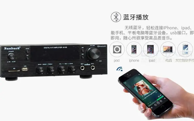 FM радио U диск SD карта Микрофон цифровой высокой мощности 2 канала Bluetooth усилитель мощности бытовой Karaok amp