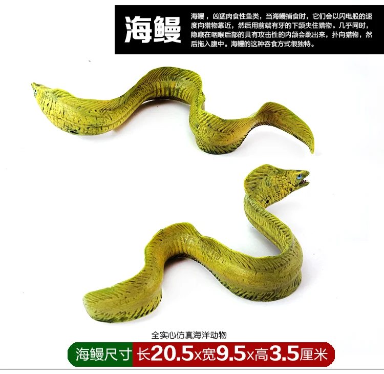 Oceans Solid Model Animal Model Non-Shark Whale Shark Killer Whales Turtles Sawfish Great White Plastic Manta Rays