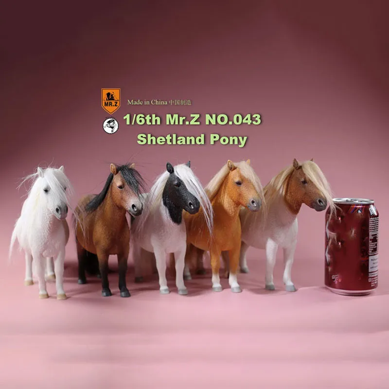 Mr.Z About 16.5CM 1/6 scale Animal Model MRZ043 Shetland Pony Horse Model for 12 inches Action