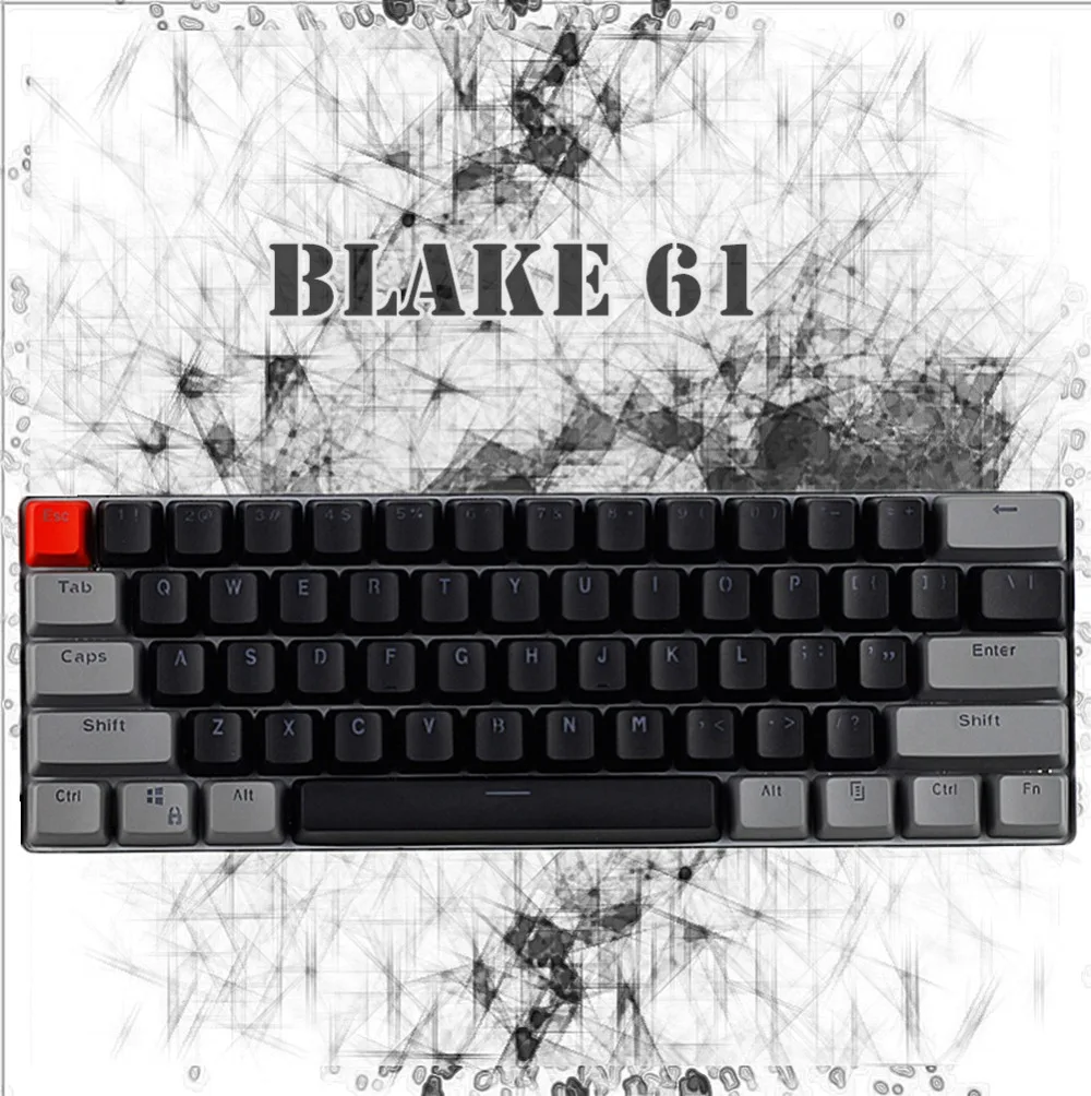 blake61