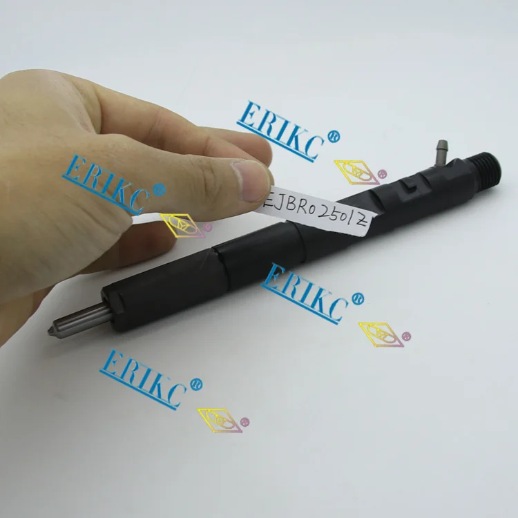 ERIKC EJBR02501Z автозапчасти топливный инжектор EJB R02501Z Common Rail впрыска высокого давления для Евро 3 двигателя