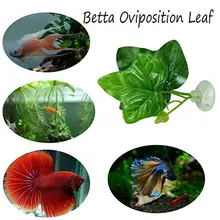 Best Value Aquarium Betta Great Deals On Aquarium Betta From Global Aquarium Betta Sellers Related Search Ranking Keywords On Aliexpress