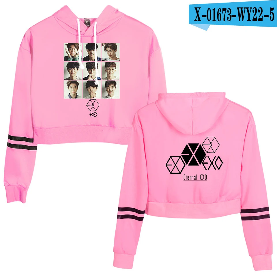 EXO Ablum одежда Kpop осенние женские толстовки Толстовка Модные кроп толстовки кофты Harajuku с длинным рукавом Свободный пуловер - Цвет: pink