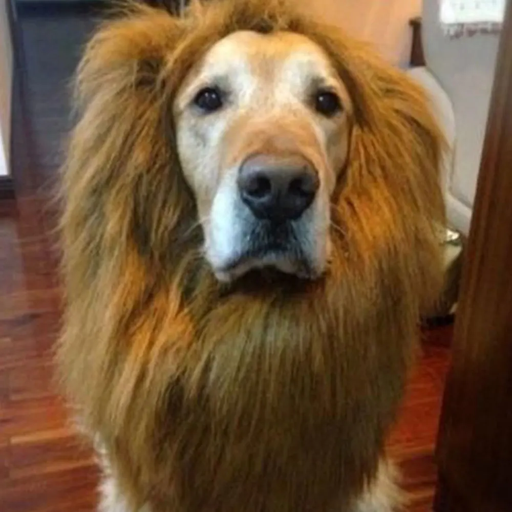 Головной убор для собаки, головной убор для собаки, полиэстер, 4 цвета, украшение, нарядное, забавное, модное, домашнее животное, Лев, грива, костюм, макияж, фестиваль