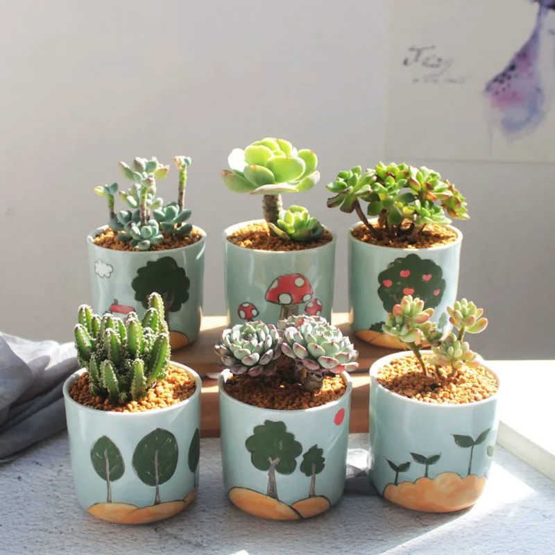 

Hand-Painted Flower Pot Succulent Plant Pot Desktop Potted Home Decoration