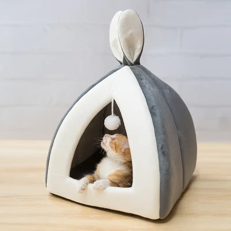 kitten house