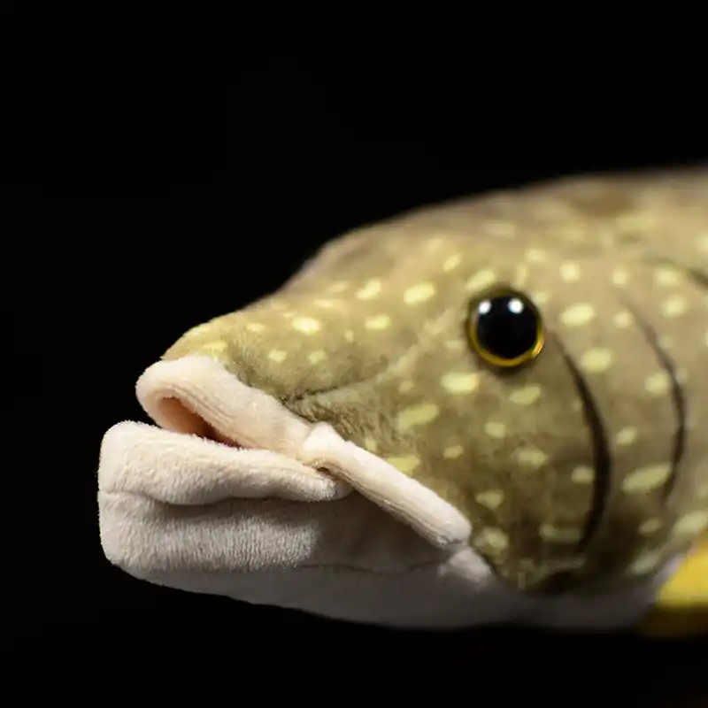 pike toy