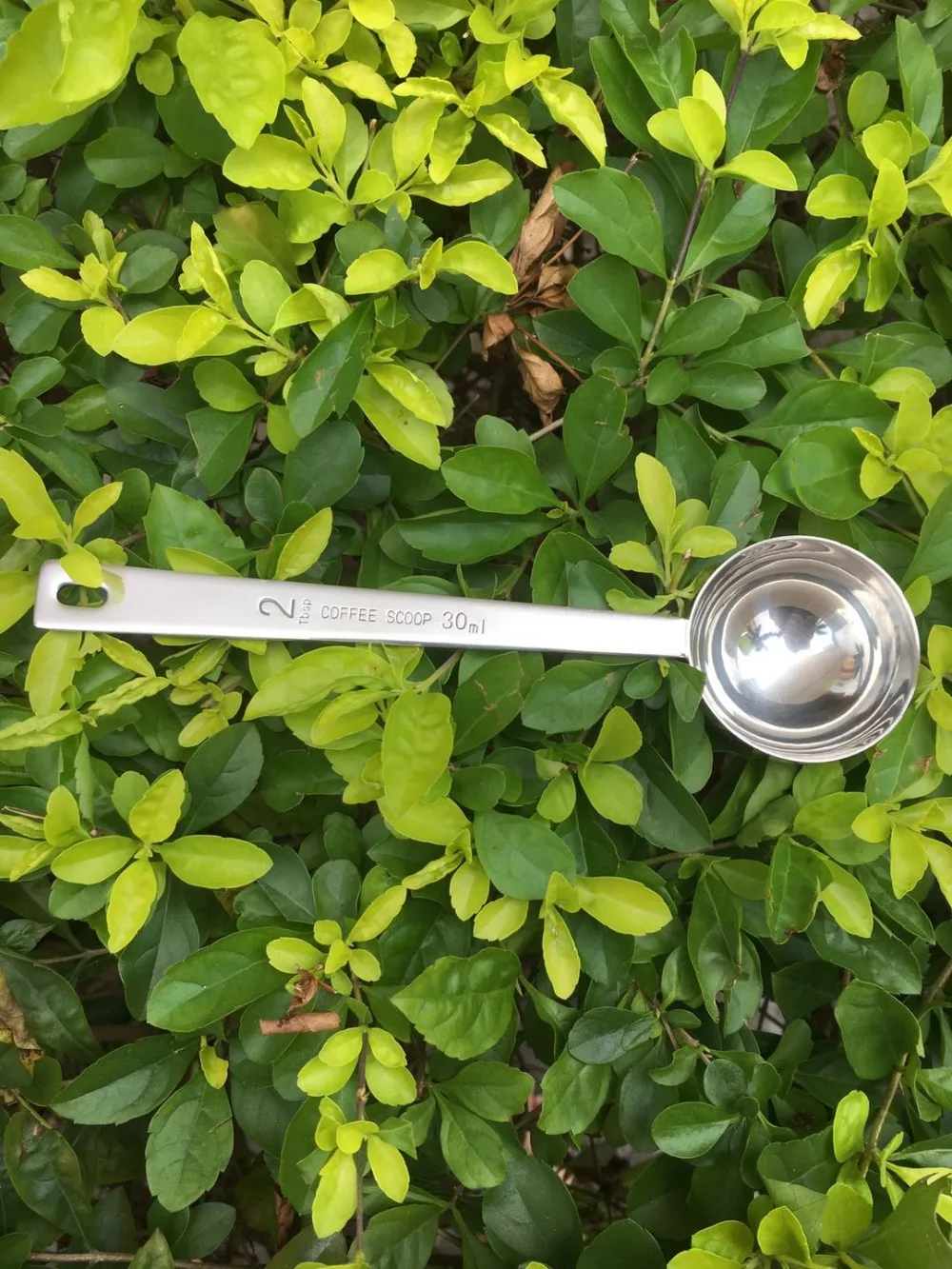 微信图片_20200517151159