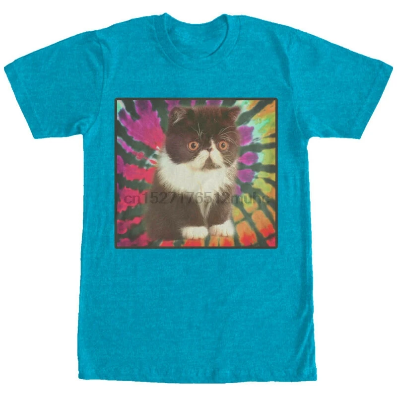 Мужская графическая Футболка Lost Gods Tie-Dye Cat | одежда