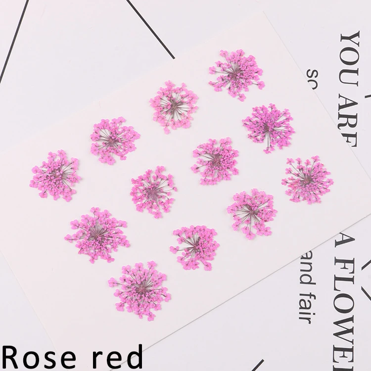 Rose red