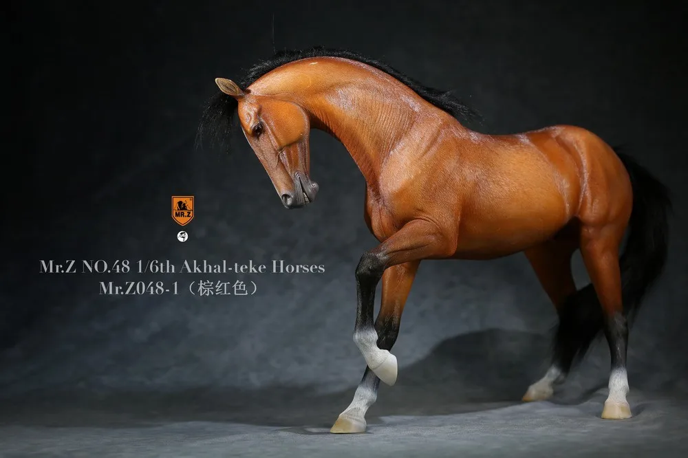 Details about   Mr.Z 1/6 Resin Akhal-teke Horses Ancient Ferghana Horse Single Horse Figure 