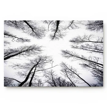 

Kitchen Mat Trees In The Forest Anti-Slip Doormat Home Bathroom Living Room Decoration Door Mats Outdoor/indoor