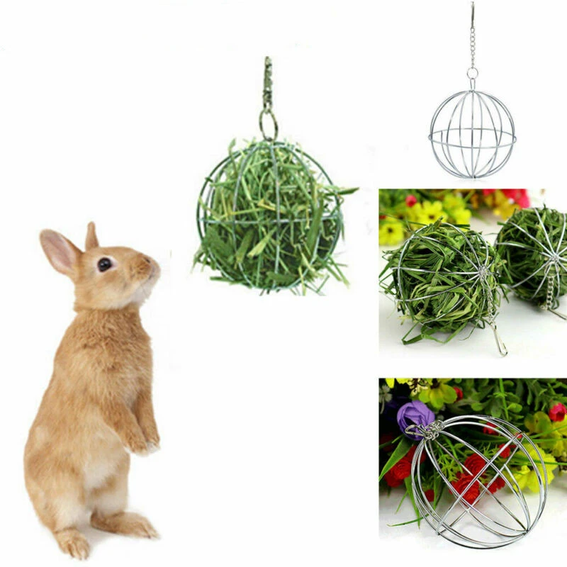 guinea pig treat ball