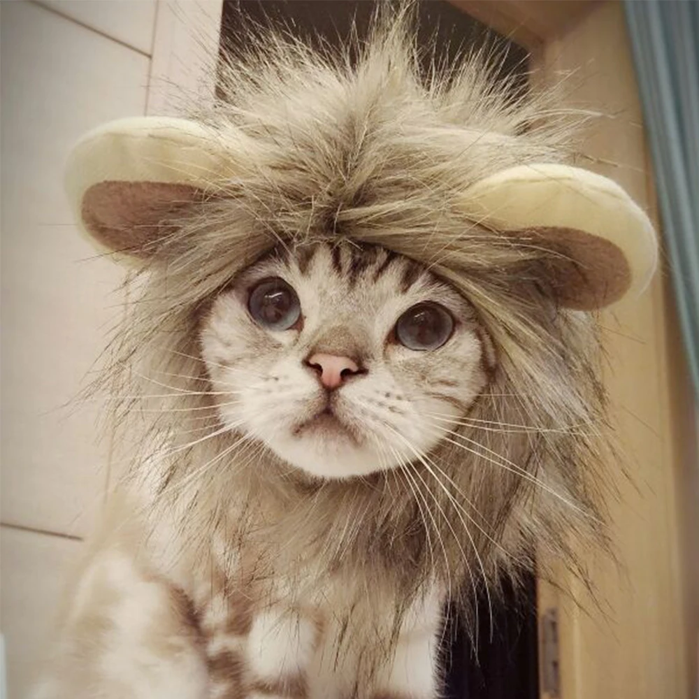 Домашнее животное косплей костюмы на Хэллоуин Косплей вечерние Одежда для собак домашнее животное парик для кота шапочки для щенков Забавный головной убор для питомца Кепка кошачий головной убор