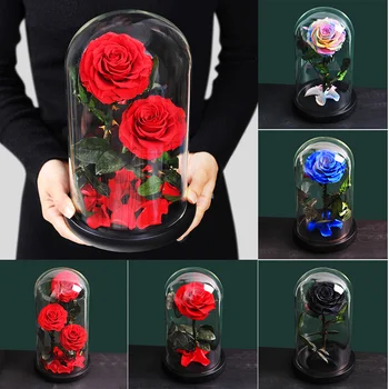 

Dropshiping The Beauty and The Beast Fresh Flowers Red Eternal Roses In A Glass Dome For Valentine's Day Gifts Mother's Day Deco