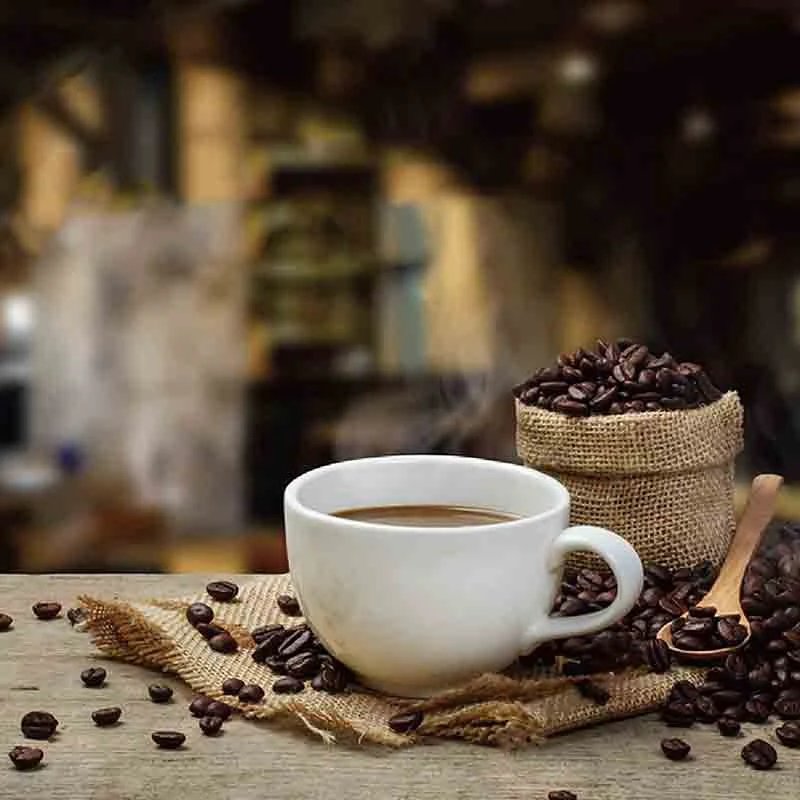 Сменный угольный фильтр для воды диски для Mr. coffee Machines [12 шт.]+ многоразовая Корзина Фильтр для кофе подходит Mr. coffee