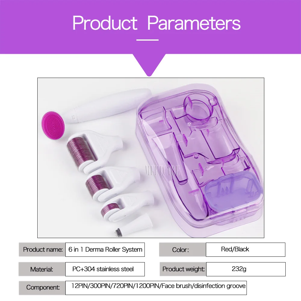 6 in 1 derma roller  (10)