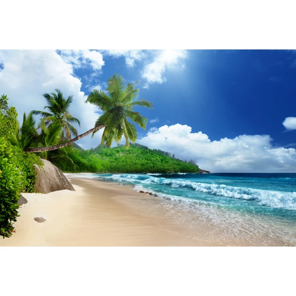 

Summer Tropical Seaside Beach Sea Ocean Sky Cloud Nature Baby Birthday Backdrop Vinyl Photography Background For Photo Studio