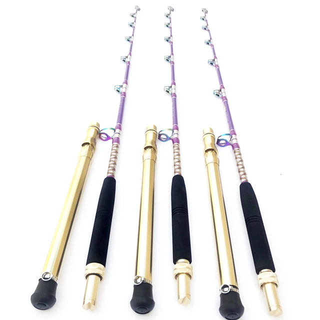 Fuji Boat Fishing Rods Ocean Lure Big Fish Pole to Sea