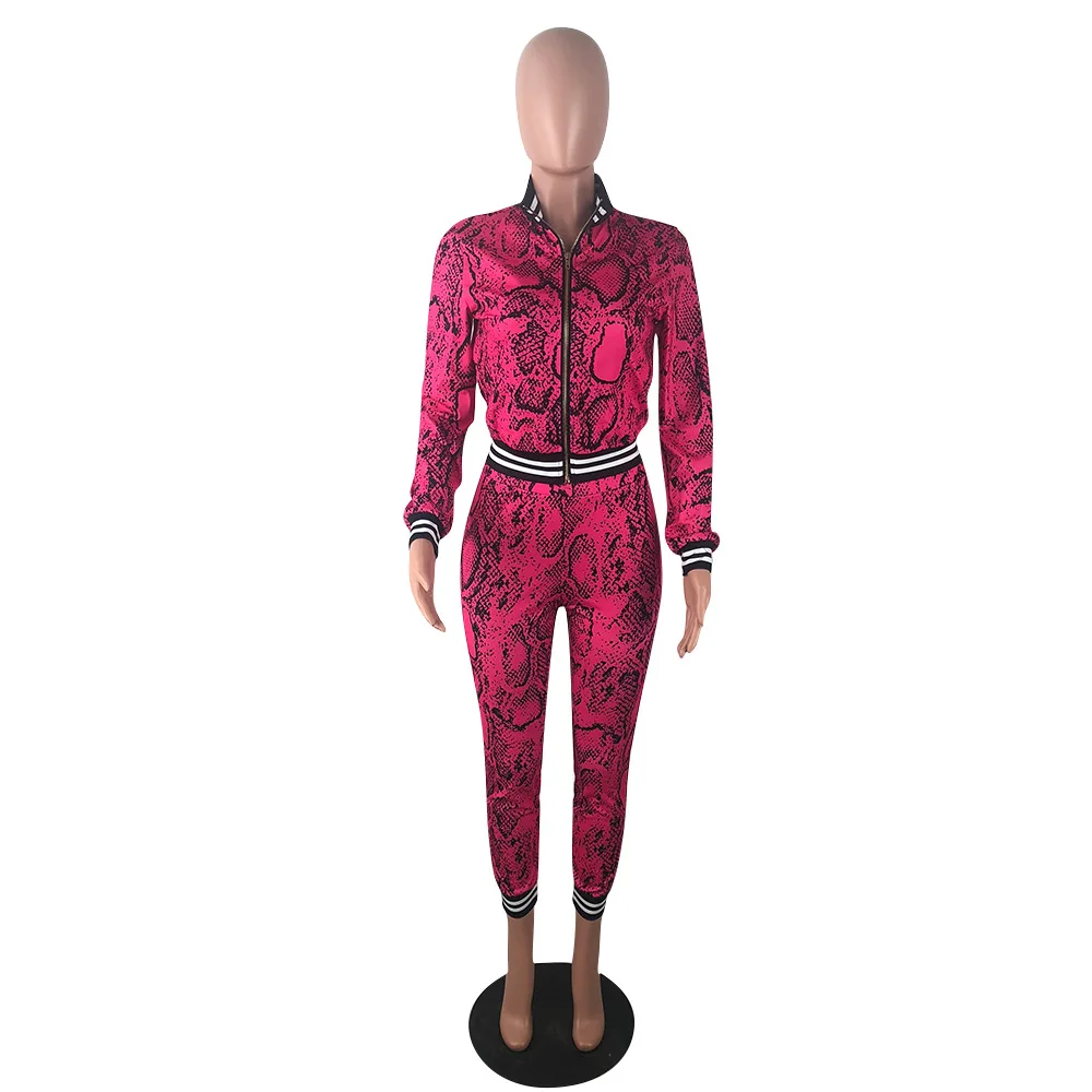 HAOYUAN, неоновый змеиный принт, комплект из двух предметов, женский спортивный костюм, праздничный укороченный топ и штаны, осенний комплект из 2 предметов, комплекты подходящего размера плюс - Цвет: rose