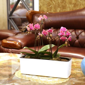 

Rectangular Self Watering Planter Wicking Pots with Water Level Indicator for Indoor Golden Ivy, African Violet, Orchid