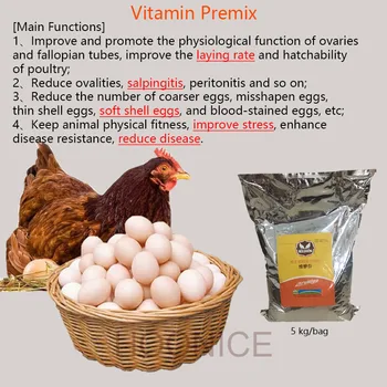 

vitamin premix, impove the lay rate,reduce soft shell eggs,improve stress, enhance disease resistance, organic,poultry,layers