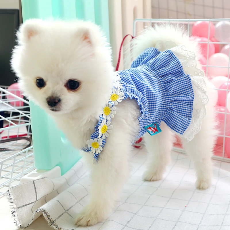 Dog dresses small Clearance